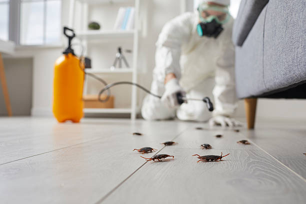Commercial Kitchen Cockroach Control in Beulaville